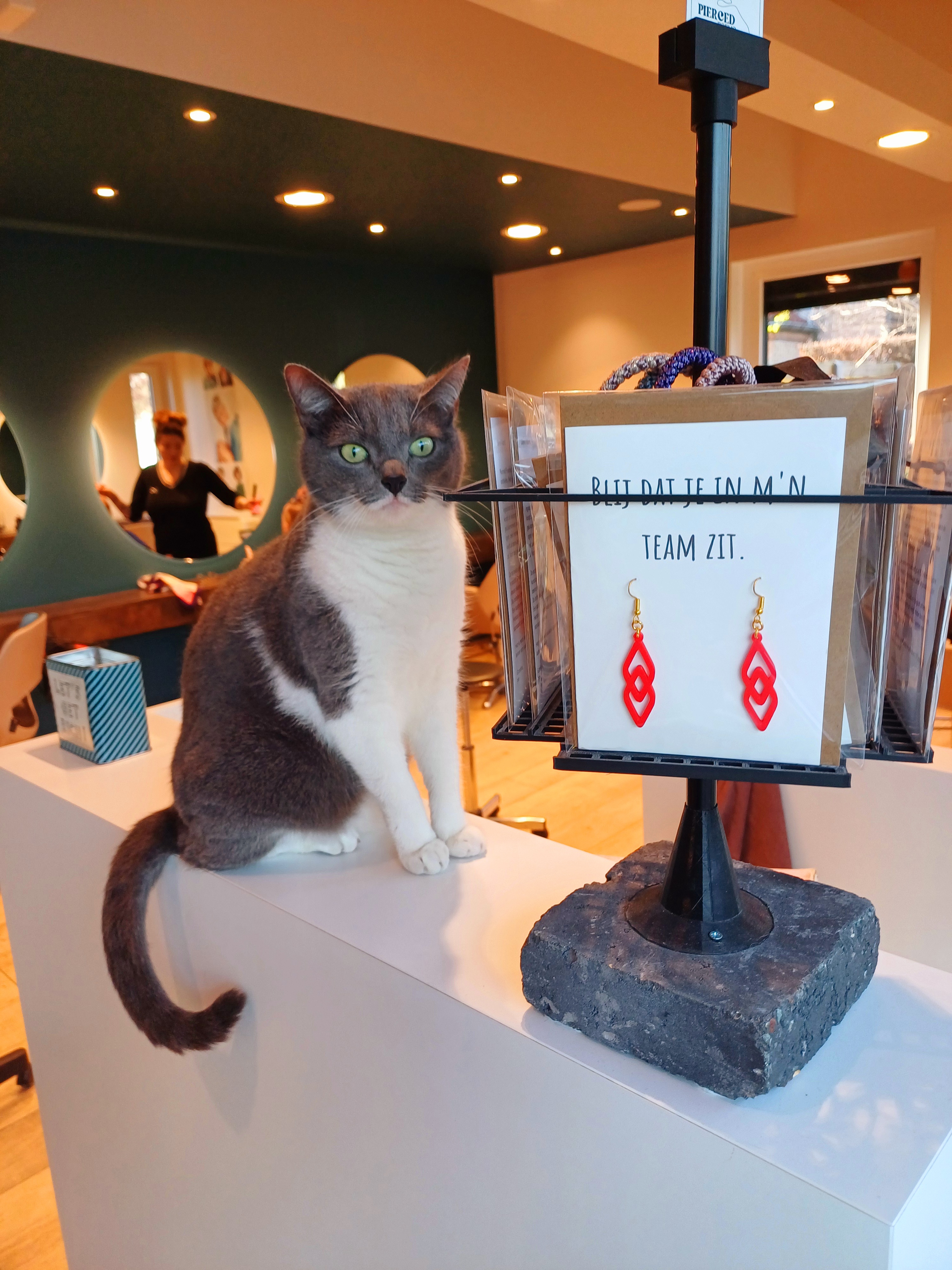 Kapsalon indigo sfeerbeeld 1